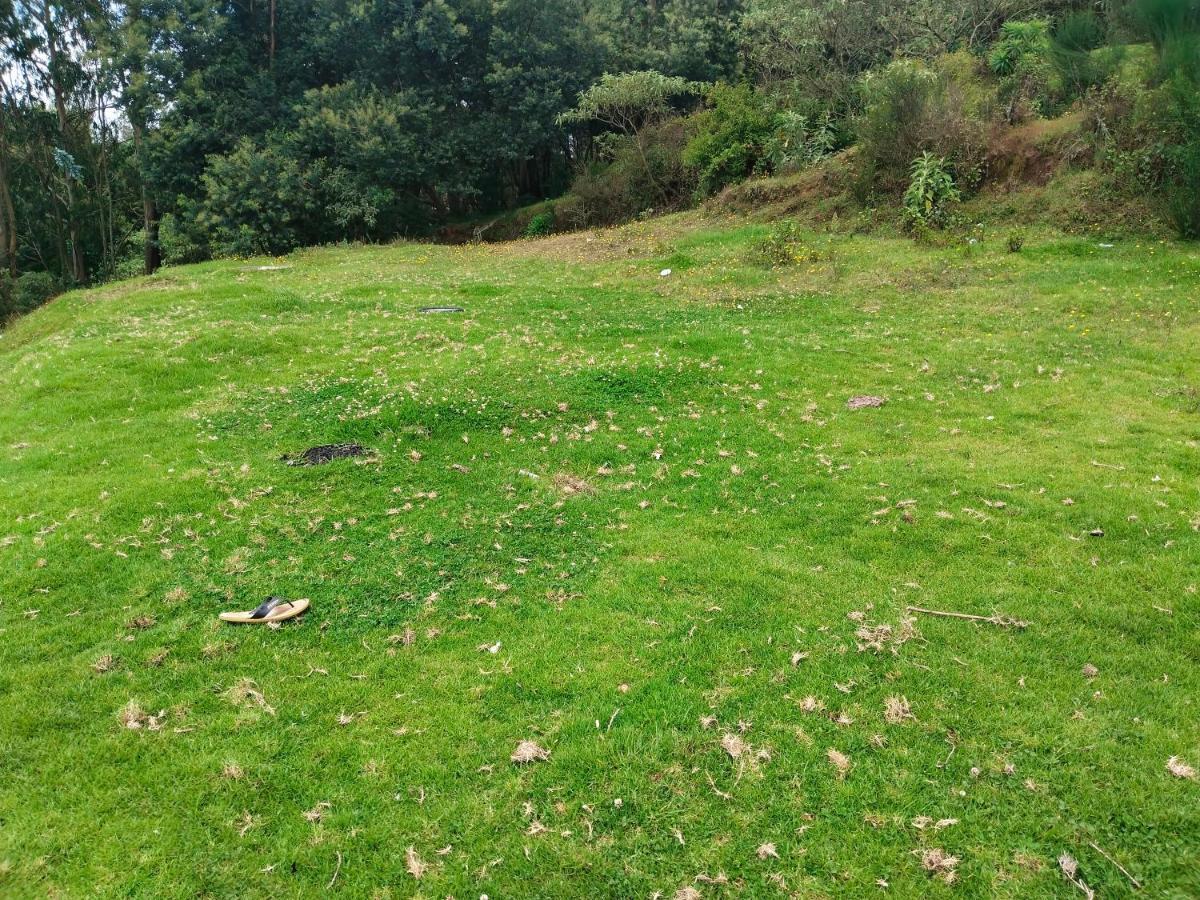 Dreams Cottage Ooty Buitenkant foto